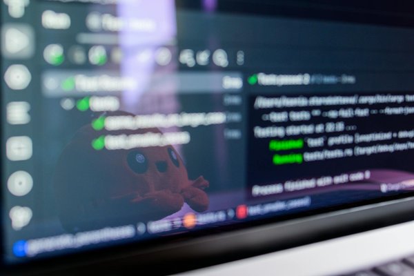 Scopri gli alberi di natale tradition per un natale chic